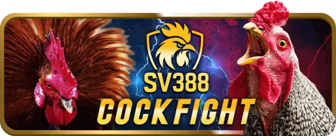 Đá gà 78win9